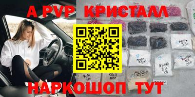 прущие грибы Моздок