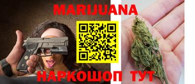 прущие грибы Моздок