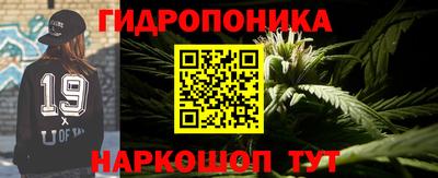 прущие грибы Моздок