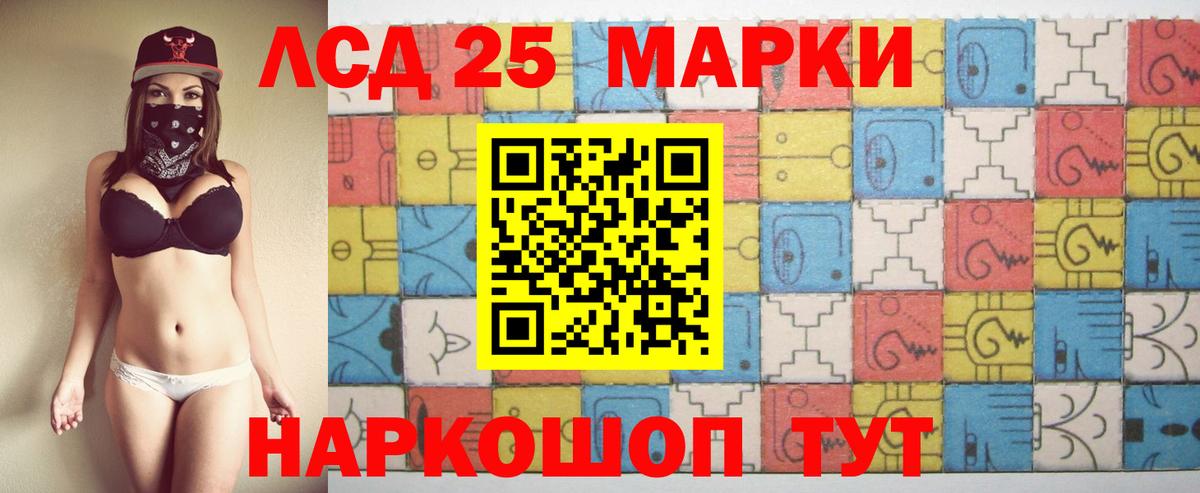 A PVP Советск